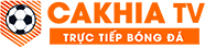 down video tiktok